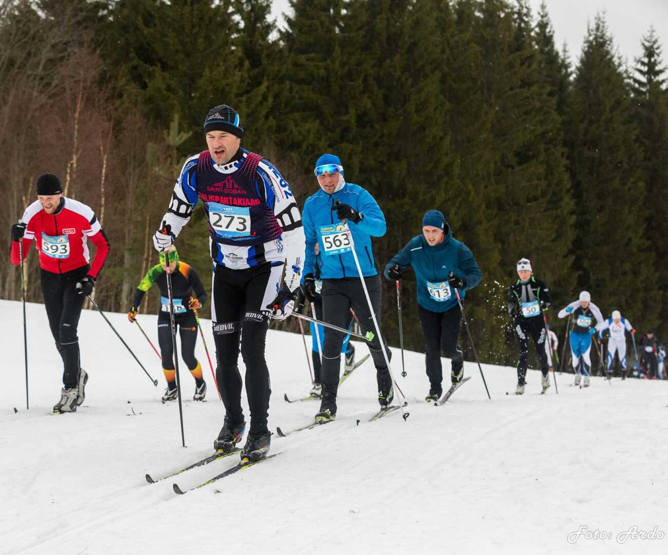 Firmaspordi Talispartakiaad'19 / foto: Ardo Säks